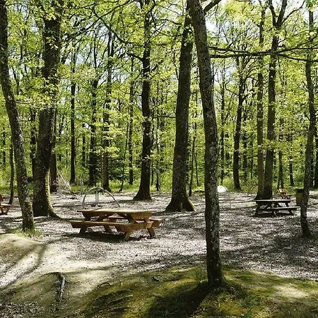 Logis Au Moyne De Saire Réville